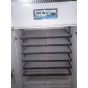 Local 1000eggs Incubator