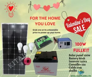 Solarmax solar fullkit 100w with free bulb