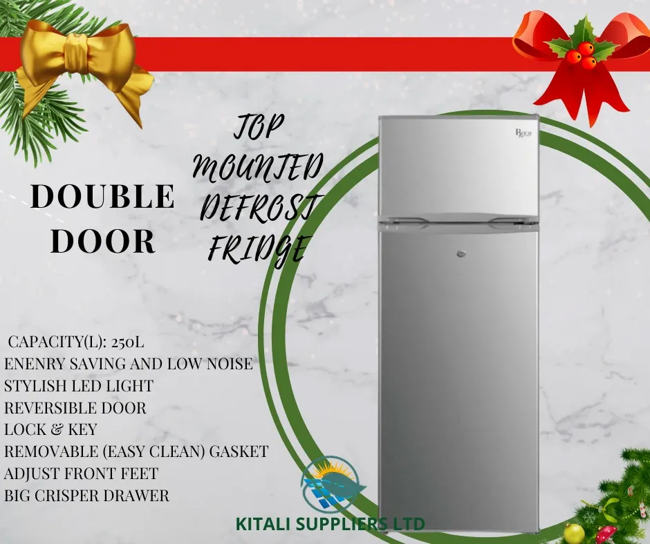 Roch RF-250-DT-B Double Door Refrigerator - 250litres