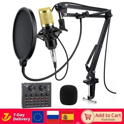 Condenser Professional Voice Recording Microphone