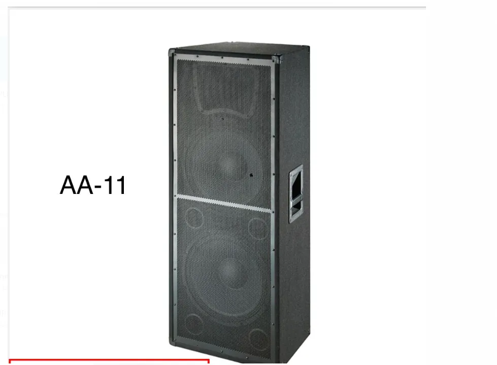 AA  11 SPEAKER 