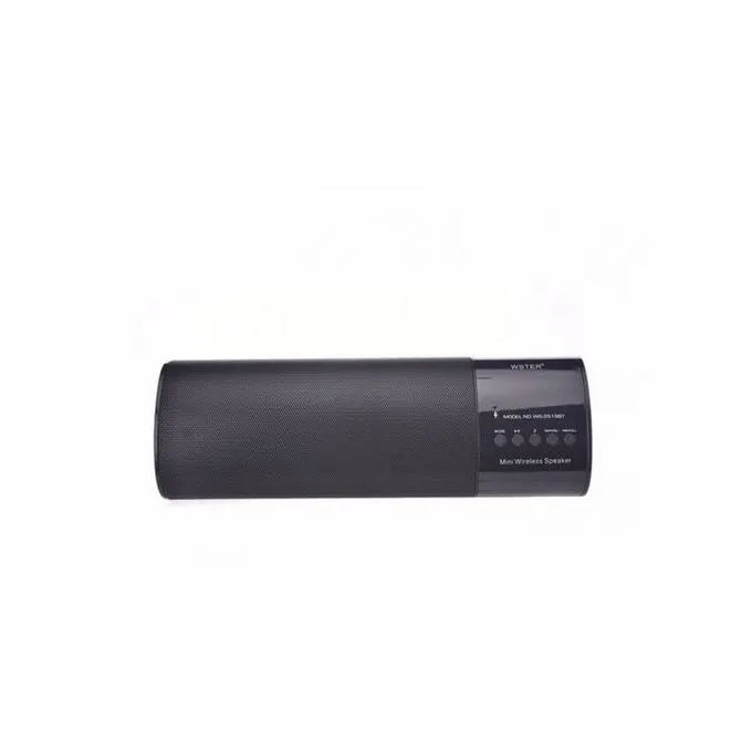 Wster Portable Bluetooth Speaker,MP3 Player & Radio