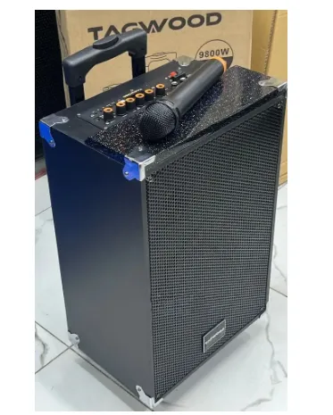 Tagwood speaker 9800w