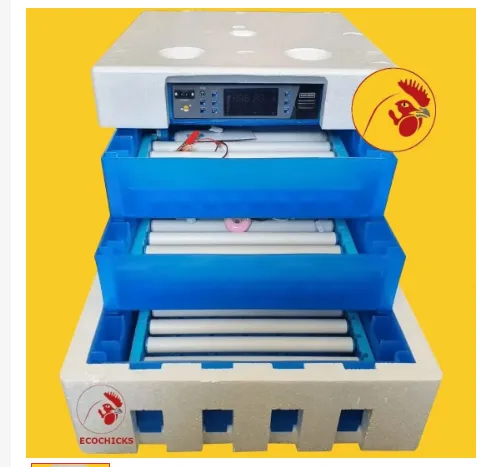 300 Eggs incubator