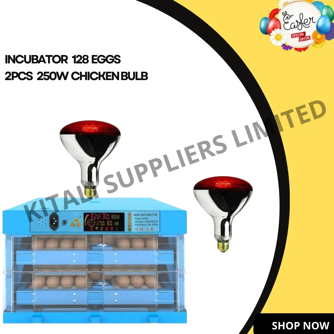 Special offer 128eggs incubator plus 250w chicken bulbs 