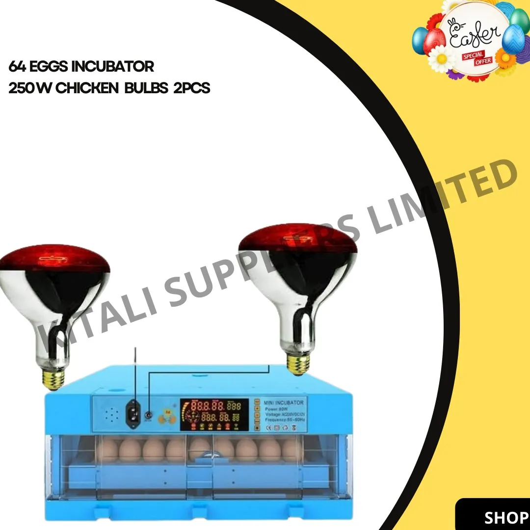 64eggs incubator plus 2pc 250w chicken bulbs