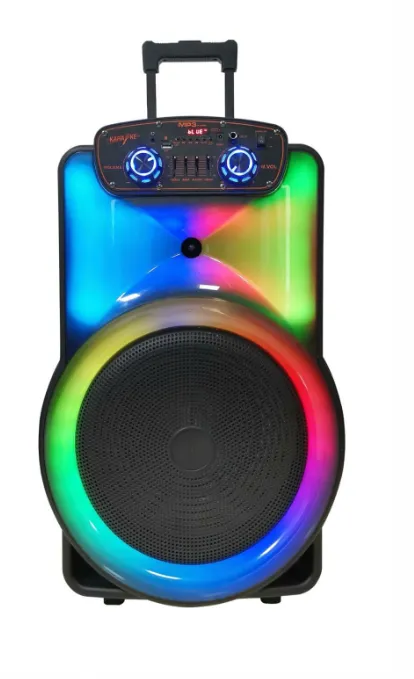Premier recheagible  Trolley speaker 15 inch 