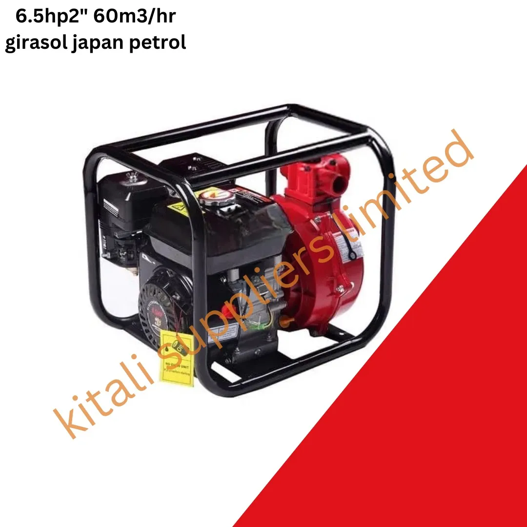 Girasol 6.5hp water pump 