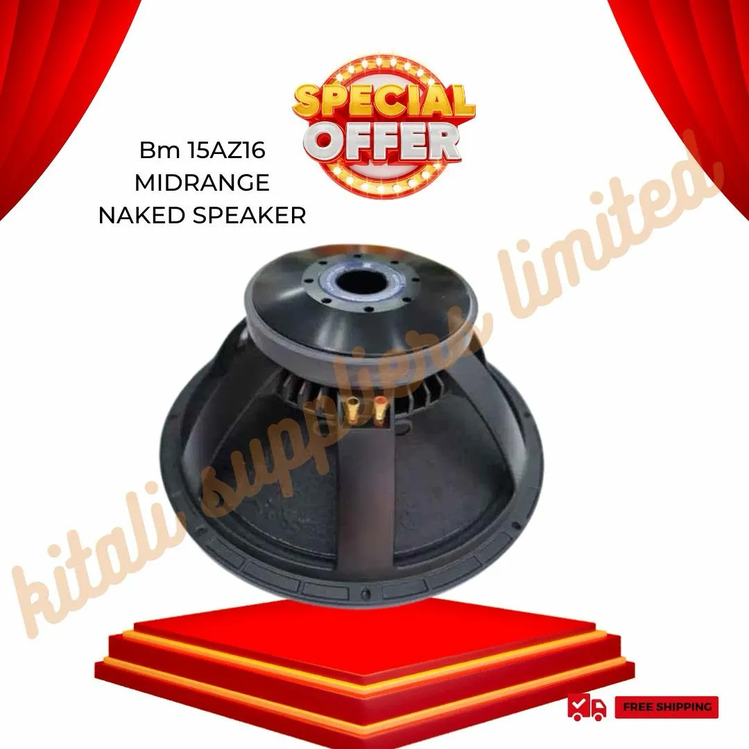 The BM 15AZ16 Midrange Naked Speaker