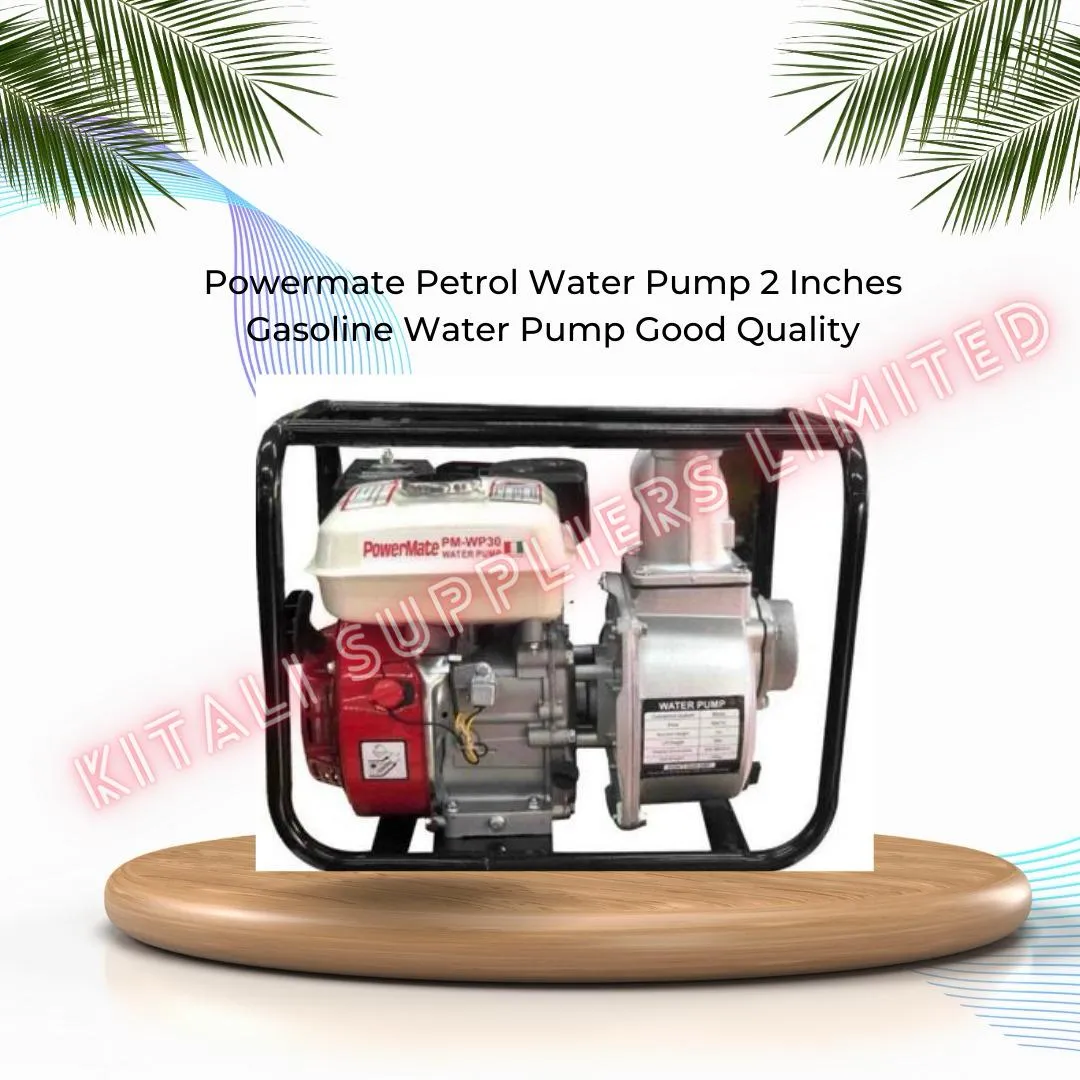 Powermate Petrol Water Pump 2 Inches Gasoline Water Pump
