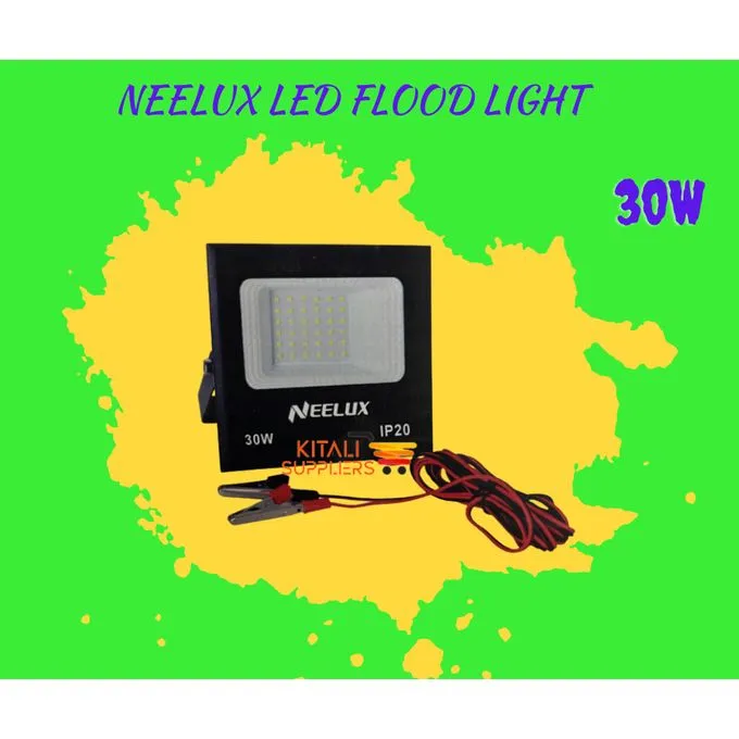 Neelux 30 Watts Outdoor DC Security Led Flood Light