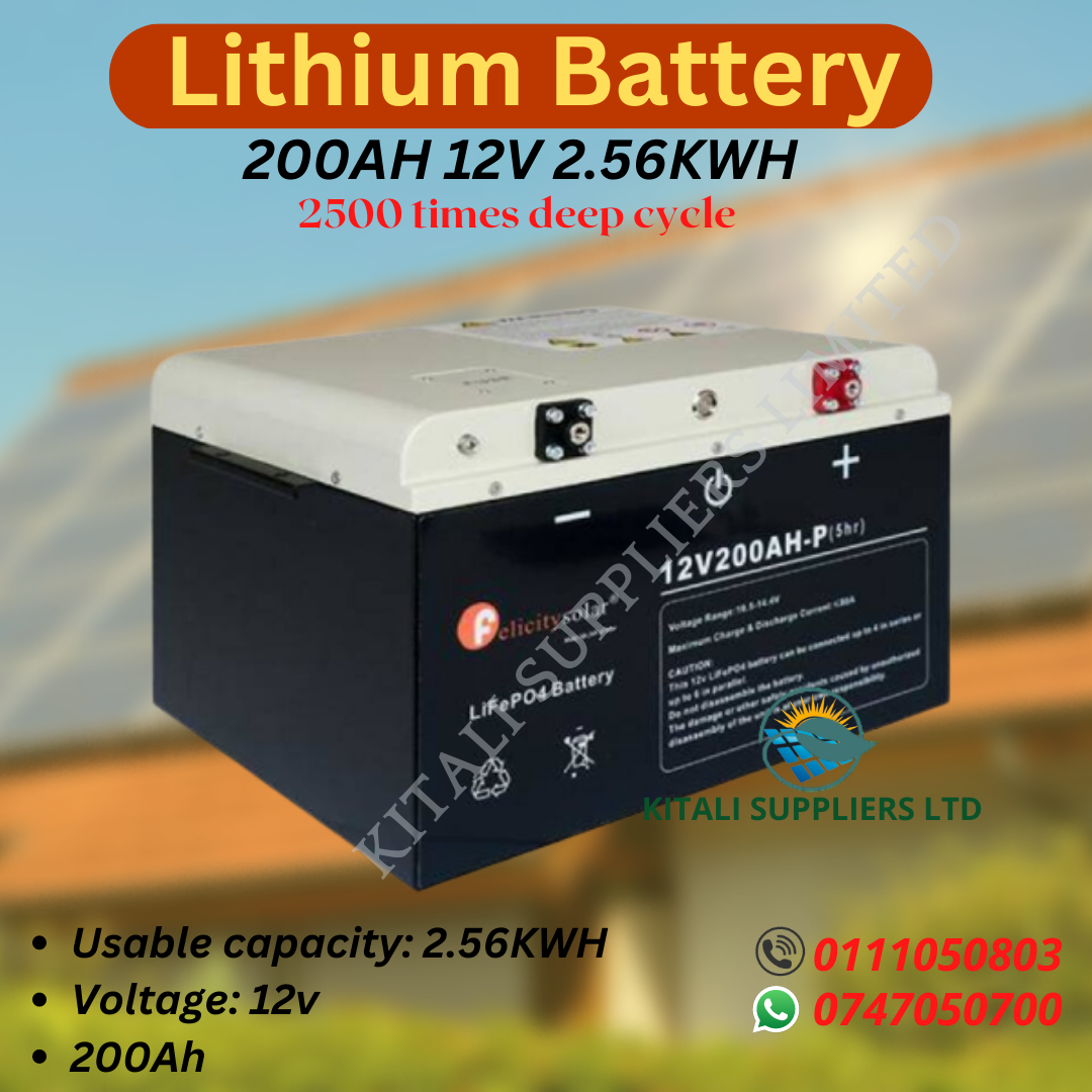 Felicity 200ah 12V 2.56Kwh Lifepo4 Lithium Battery