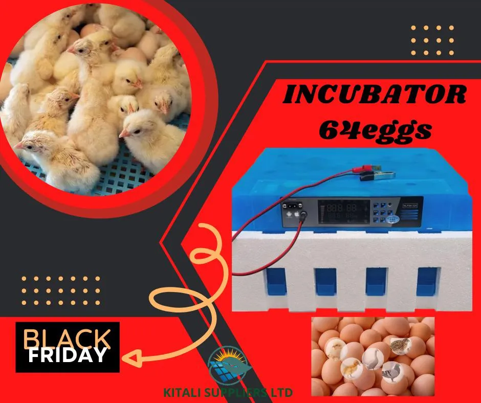 64-EGGS SOLAR AND ELECTRIC Power AUTOMATIC INCUBATOR