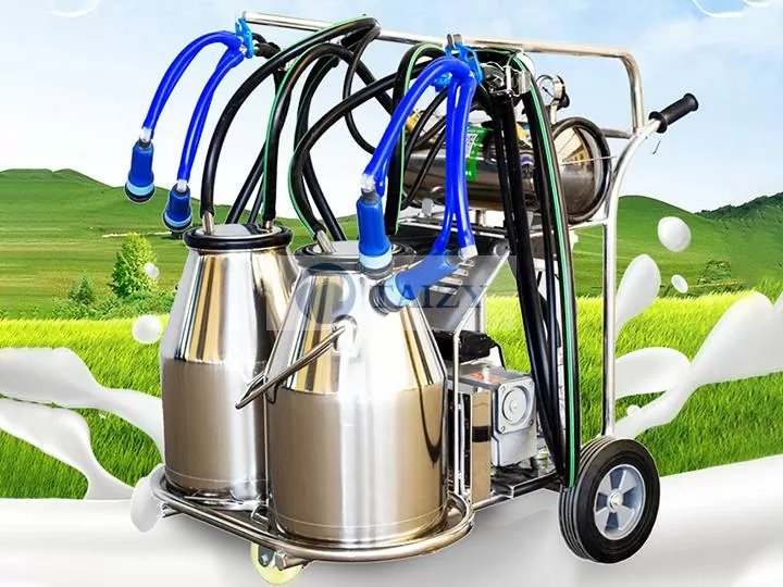 Double Barrels Portable Cow Milking Machine 10-12 cows/hour per Barrel