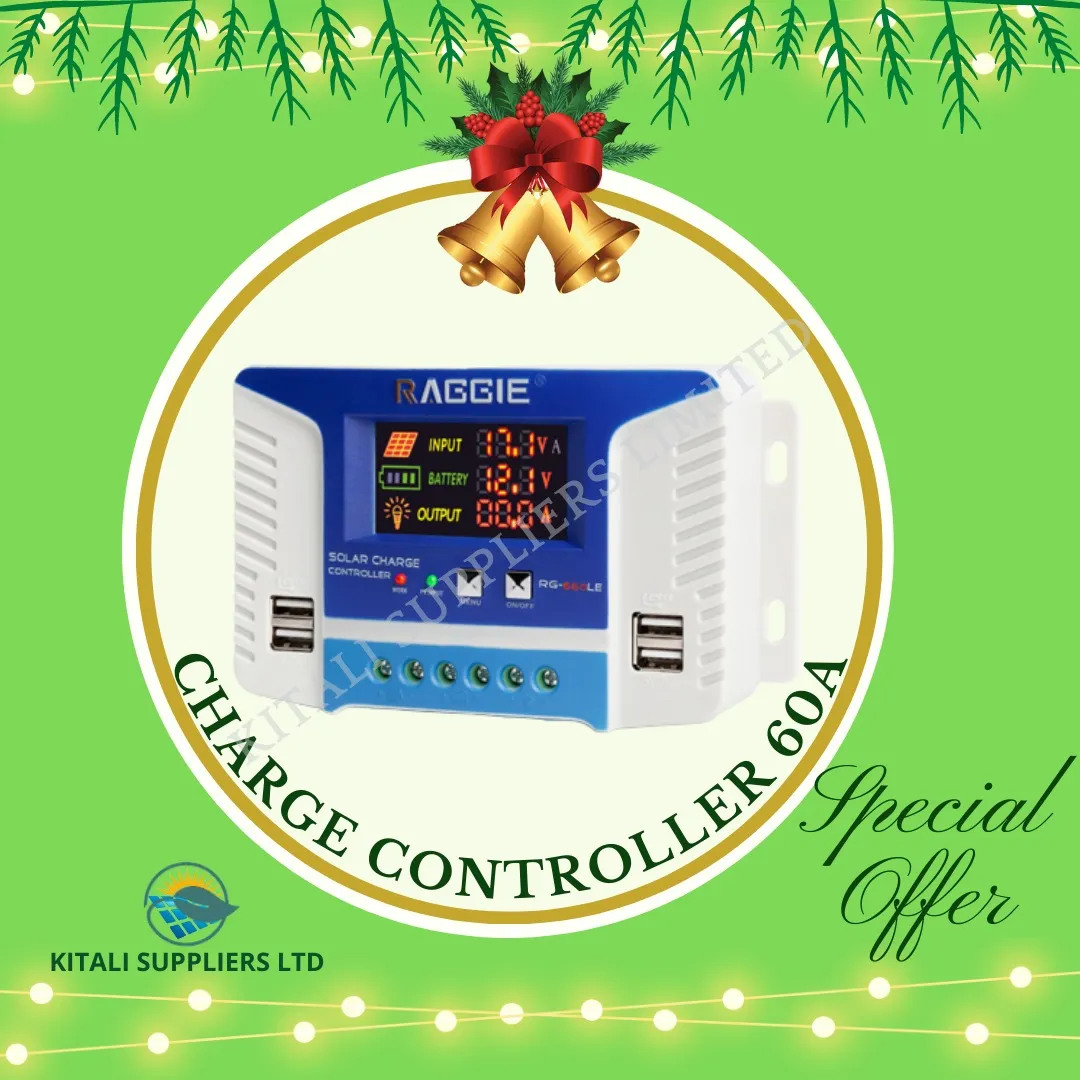 raggie controller 60amps