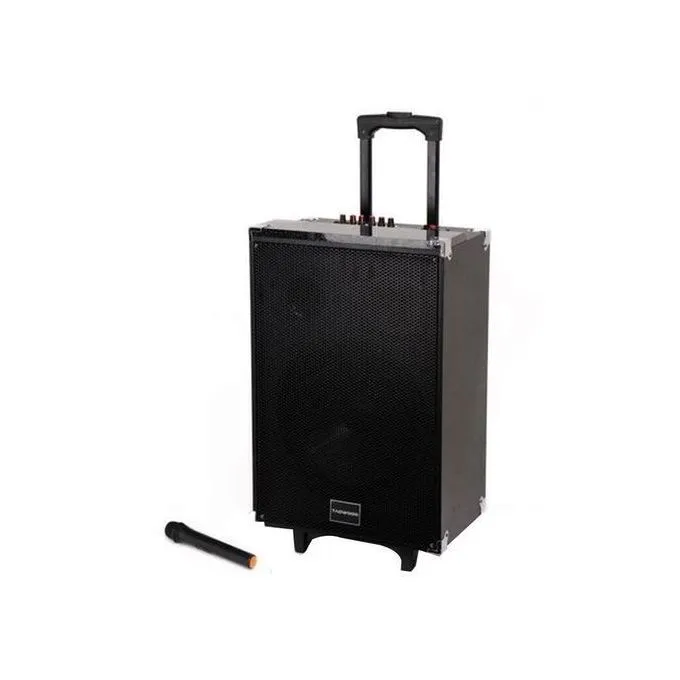 TAGWOOD Outdoor 12"Speaker, Bluetooth, Microphone, Battery