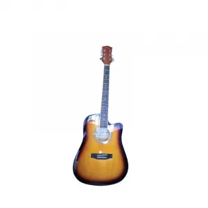 Semi acoustic guitar