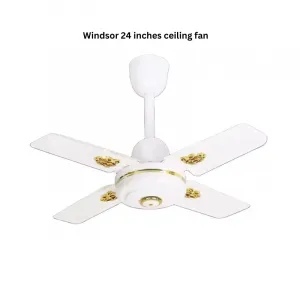 Windsor 24 inches ceiling fan