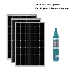 250W Panel and 70M Shiyuan submersible pump kit