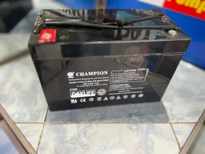 Dayliff champion ups battery 100ah 12v