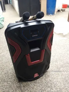 powered Speaker Borl 15"