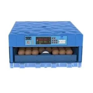Automatic 64 egg incubator