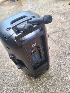 Aone 15" rechargeable portable amplified powered speaker system with 2 microphones