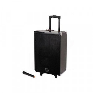 TAGWOOD 15 inches Outdoor Rechargeable Public Address Speaker with wireless Microphone