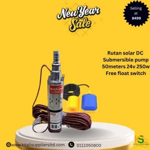 Rutan Pump Submersible Pump 50m 24v 250w