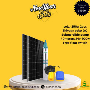 Solar 250w -2pcs,Shiyuan solar DC submersible pump 40meters 24v 400w ,free float switch