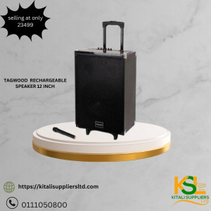 Tagwood speaker rechargeable 12inch