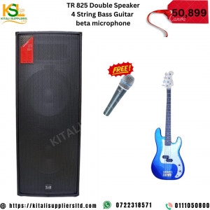 TR 825  Double speaker  4 string bass guitar beta microphone