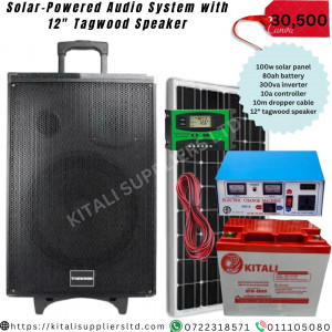 Solar-Powered Audio System With a 12" Tagwood Speaker.