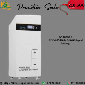 LP-48280-B LiFePO4 Battery