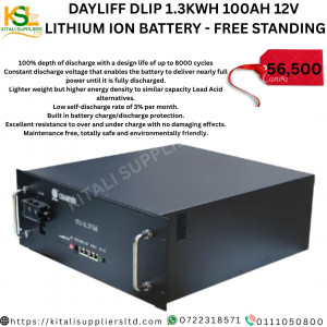Dayliff DLIP 1.3kWh 100Ah 12V Lithium Ion Battery – Free Standing