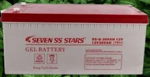 200ah Seven ss star dry cell battery
