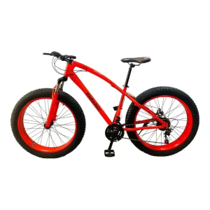 Caraiman 20 inch MTB Spokeless wheel bicycle
