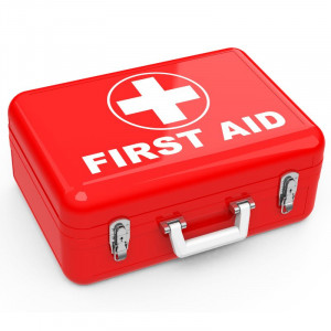 MediSure™ Standard First Aid Kit – Emergency Medical Supplies for Home, Office, School & Travel