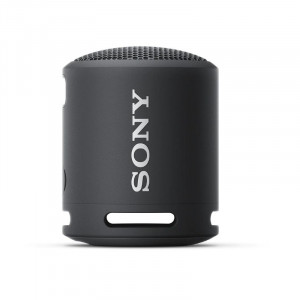 Sony Extra Bass Portable Wireless Speaker-Taupe