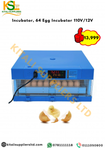 64-Egg Automatic Digital Incubator – Dual Power (110V/12V) with Auto Turning & Temperature Control for Poultry Hatching
