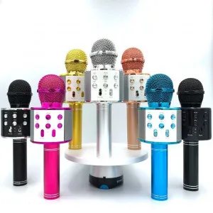 Rechargeable Silver Karaoke Microphone for Kids – Wireless Bluetooth Mic with LED Lights & Echo Effect