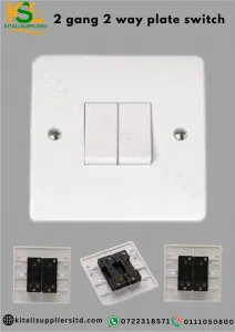2 gang 2 way plate switch