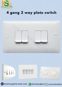 4 gang 2 way plate switch