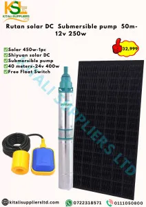 450W Solar Panel with 250W Shiyuan Submersible Pump Kit