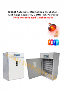 1056EI Automatic Digital Egg Incubator – 1056 Eggs Capacity, 220W, AC Powered with FREE Infrared Chicken Bulb