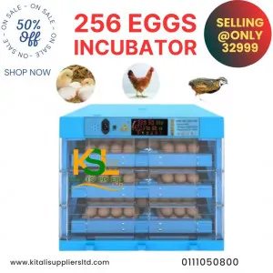 High-Capacity 192 Eggs Automatic Incubator for Hatching