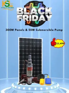 Off-Grid 300W Solar Panel Kit + 250W 12V Rutan Deep Well Pump (50m) with Float Switch for Irrigation & Water Transfer