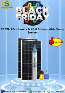 250W Solar Pump System with 2 Panels & 40M Submersible Pump | Efficient Off-Grid Water Solution