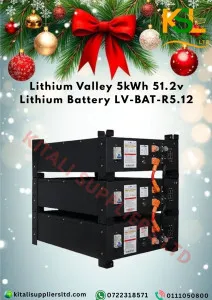 Lithium Valley 5kWh 51.2V LiFePO₄ Battery – Reliable Energy Storage for Solar & Off-Grid Systems