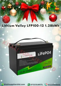 Lithium Valley 1.28kWh 12.8V LiFePO₄ Battery – Compact, Safe & Long-Life Energy Storage